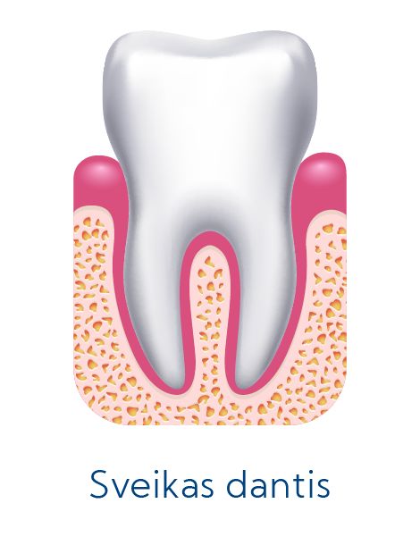 Periodontologija